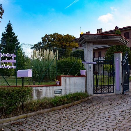 Amor Di Lavanda Cingoli Εξωτερικό φωτογραφία
