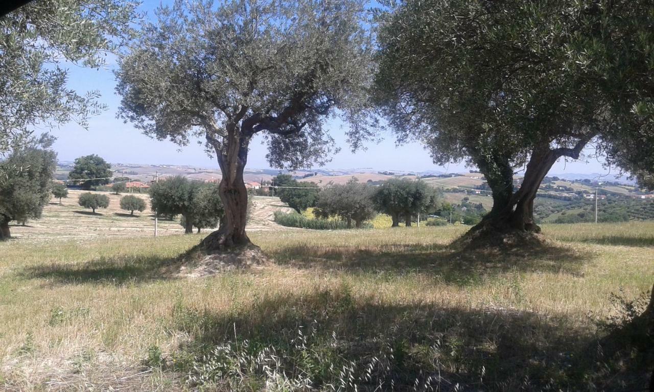Amor Di Lavanda Cingoli Εξωτερικό φωτογραφία