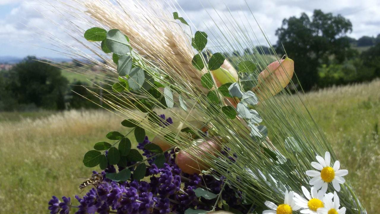 Amor Di Lavanda Cingoli Εξωτερικό φωτογραφία