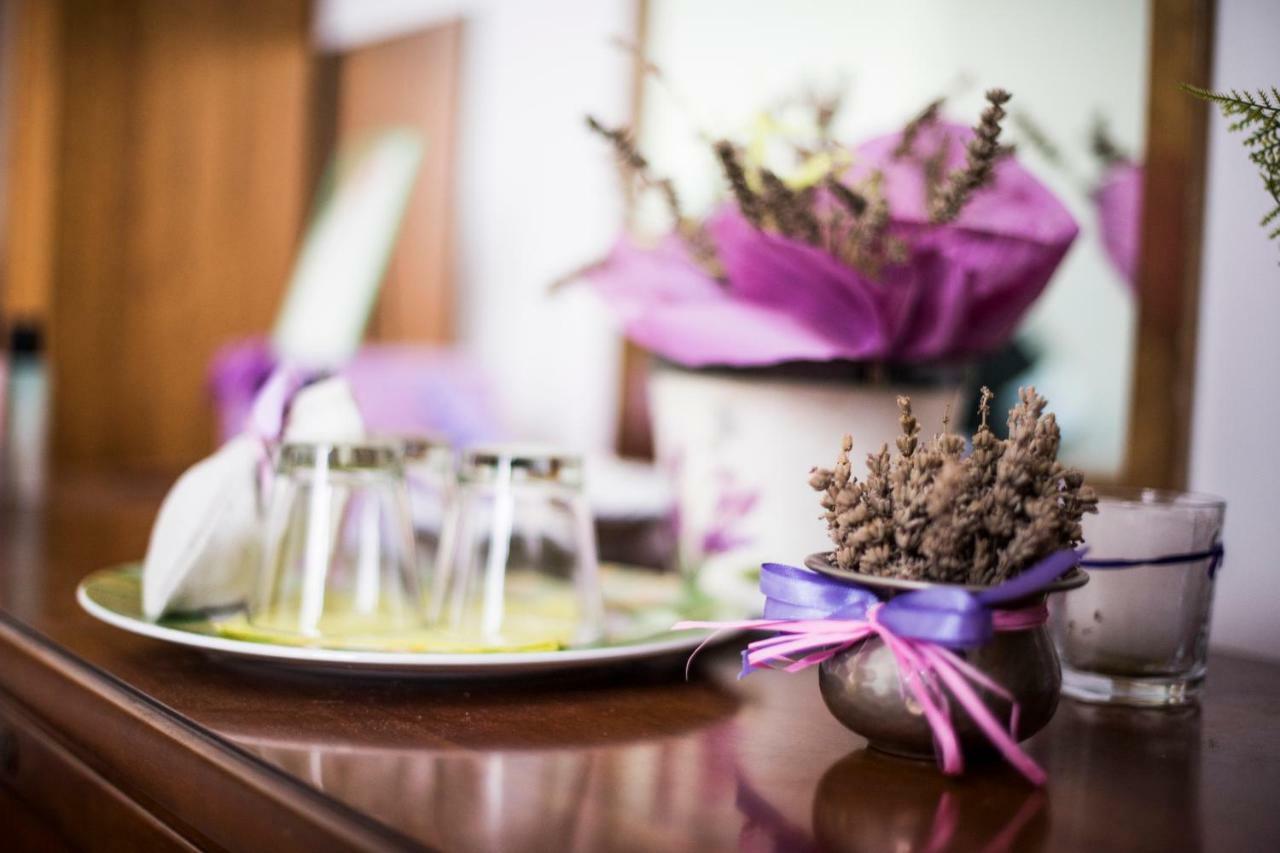 Amor Di Lavanda Cingoli Εξωτερικό φωτογραφία
