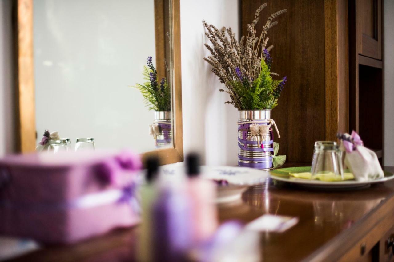 Amor Di Lavanda Cingoli Εξωτερικό φωτογραφία