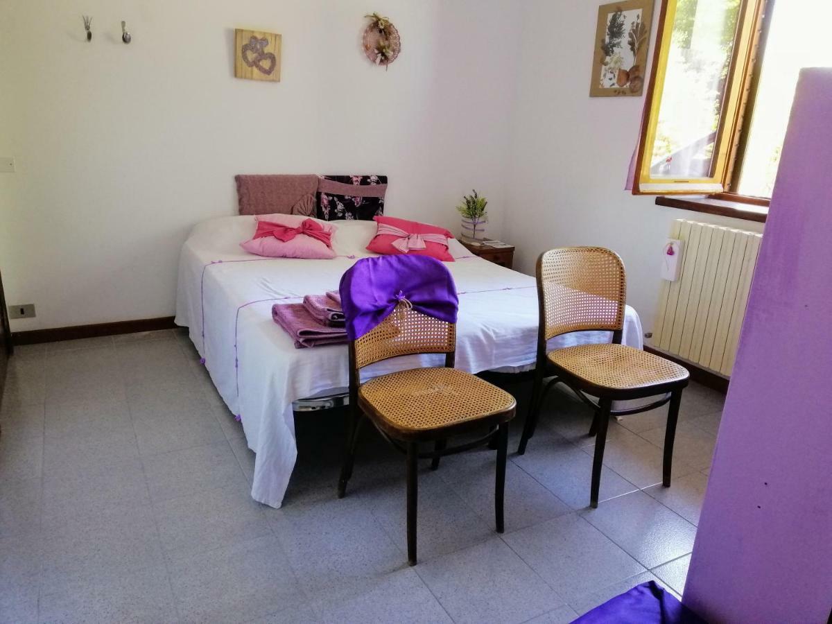 Amor Di Lavanda Cingoli Εξωτερικό φωτογραφία