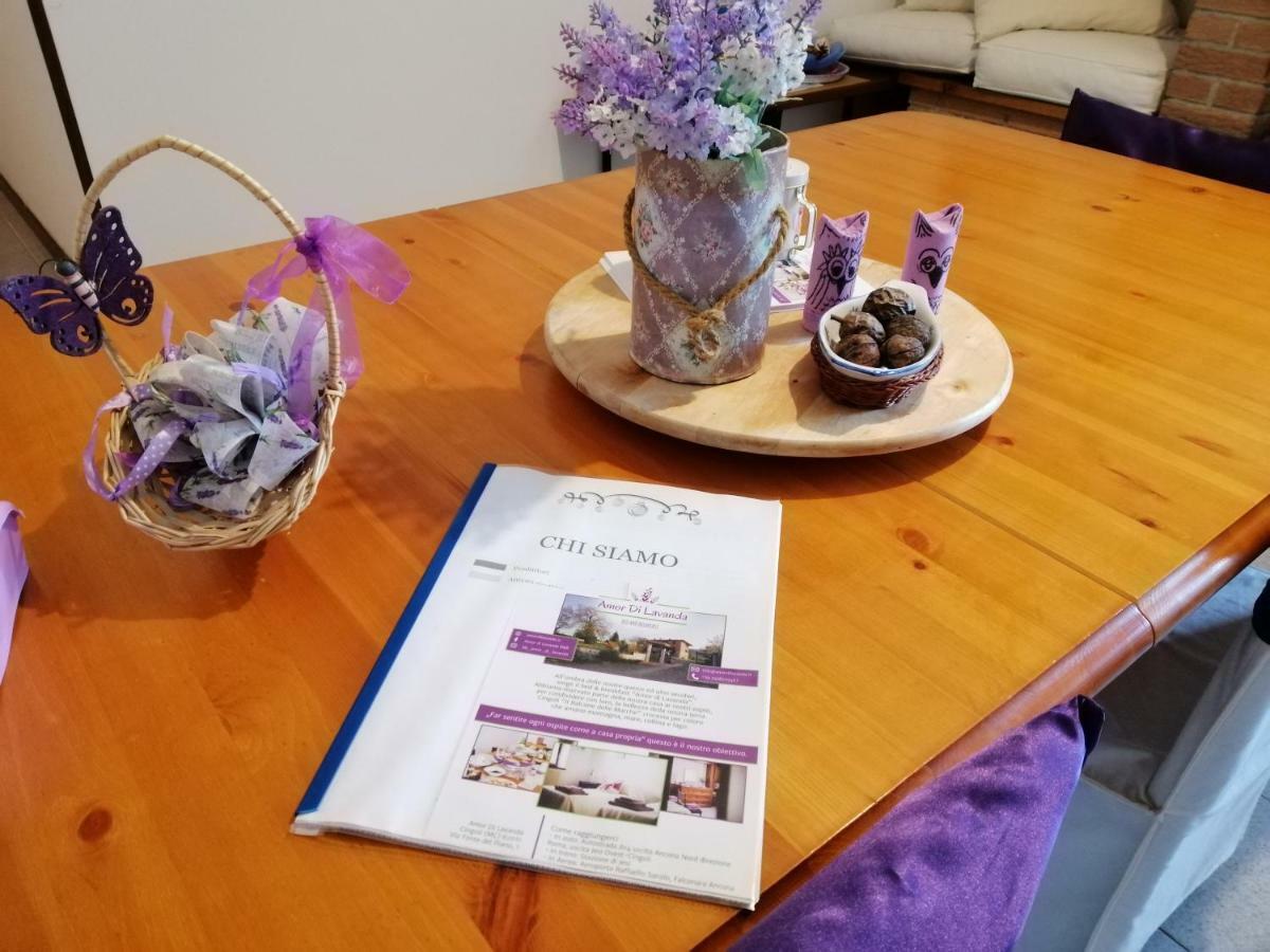 Amor Di Lavanda Cingoli Εξωτερικό φωτογραφία